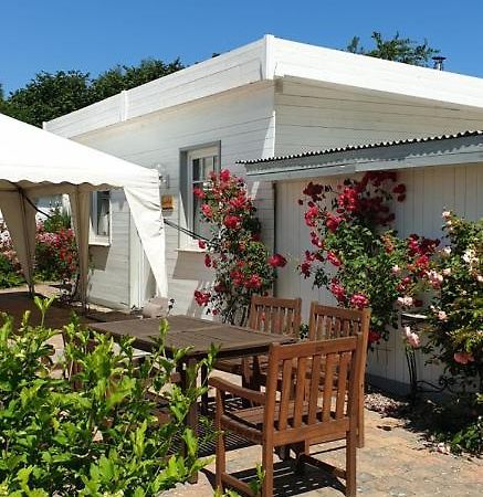 Ferienbungalow Haus Am Teich Boltenhagen  Eksteriør billede