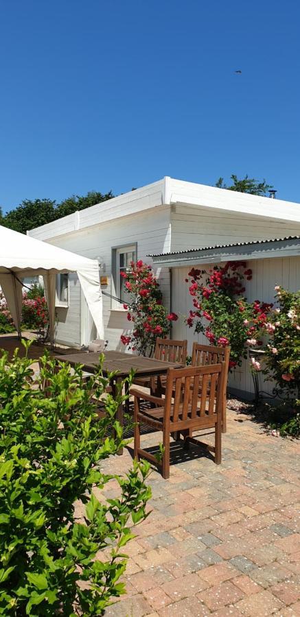 Ferienbungalow Haus Am Teich Boltenhagen  Eksteriør billede