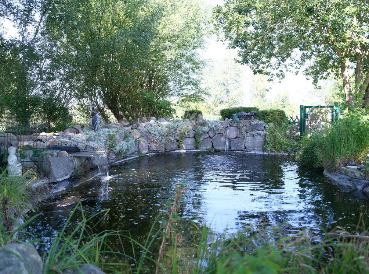 Ferienbungalow Haus Am Teich Boltenhagen  Eksteriør billede